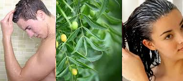 how to reduce hair fall home remedies